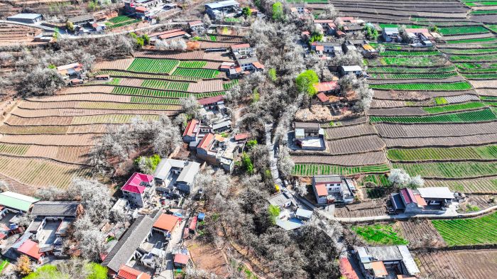 DJI_20240317103244_0220_D