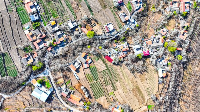 DJI_20240317103129_0218_D