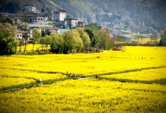 IMG_20240323_115857_副本