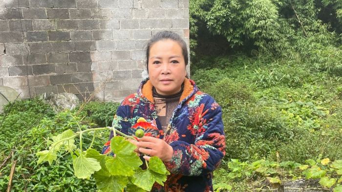 单清先  筠连县融媒体中心提供