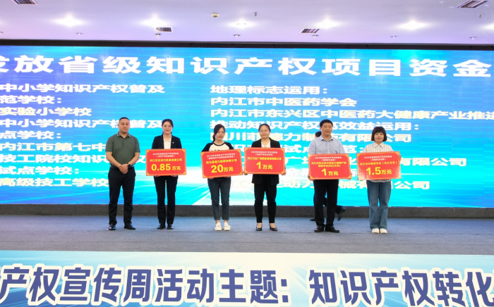 为获得省级知识产权项目企业发放项目资金.png