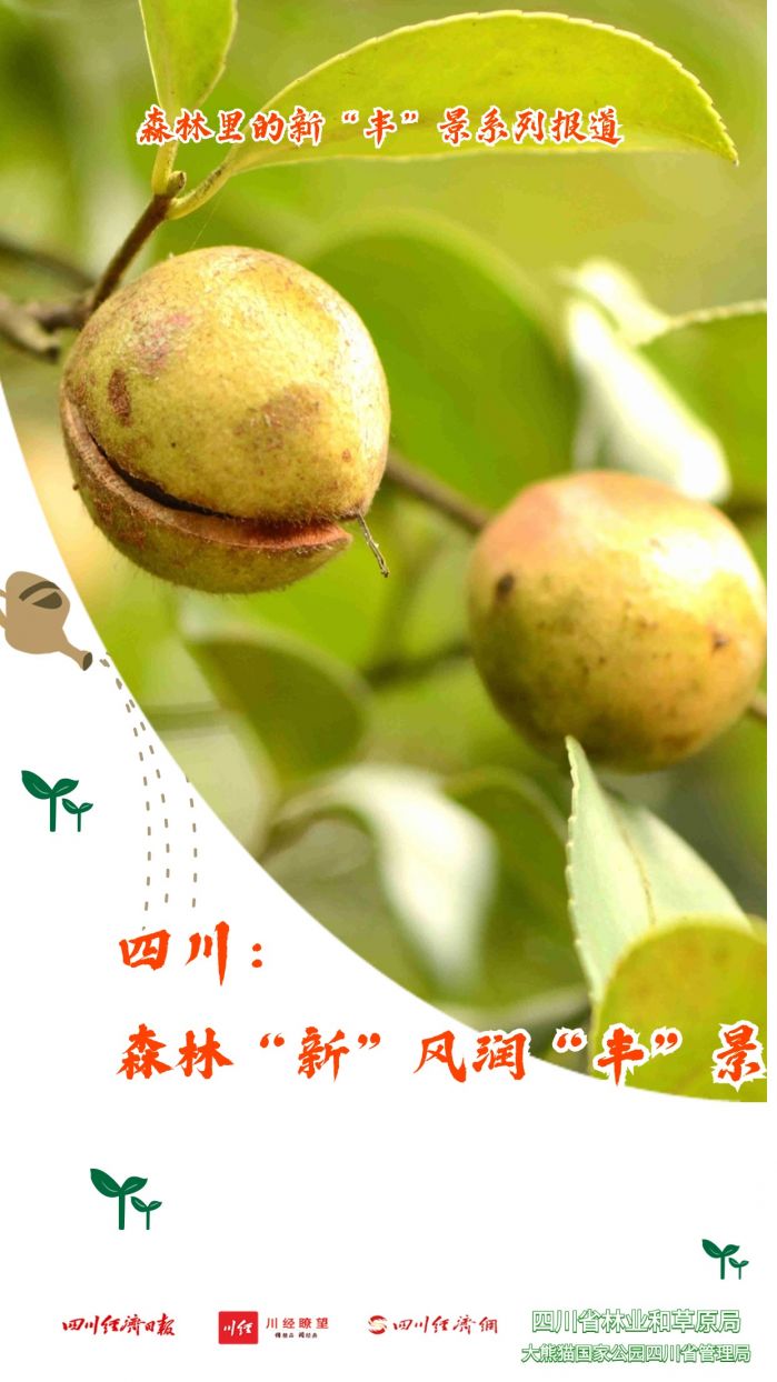 植树节教育宣传祝福海报 (5)(1).jpg