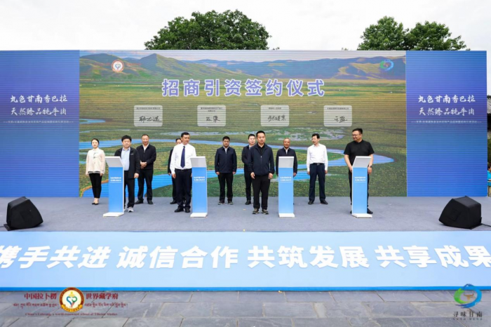图片3