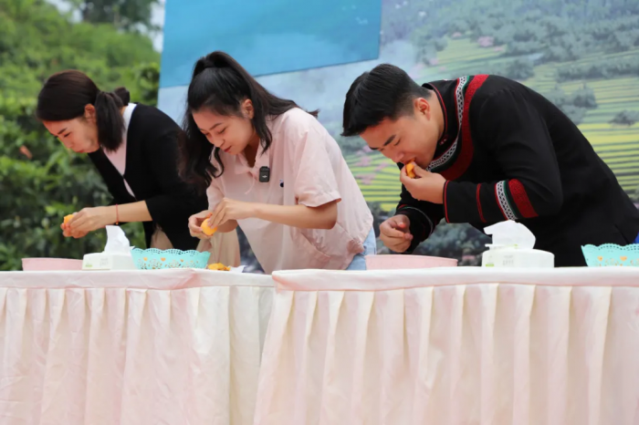 嗨吃枇杷