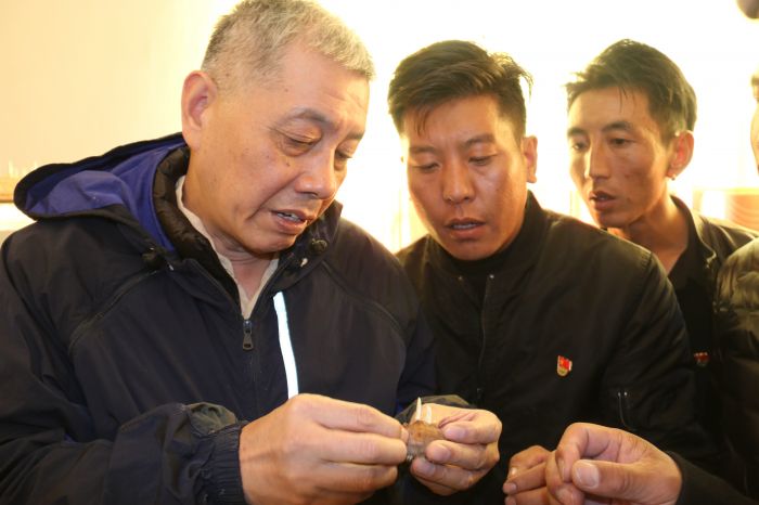 图为沈立荣教授指导藏红花培育.JPG