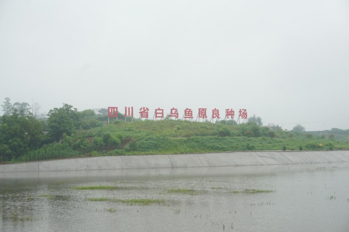 图片1(1).png