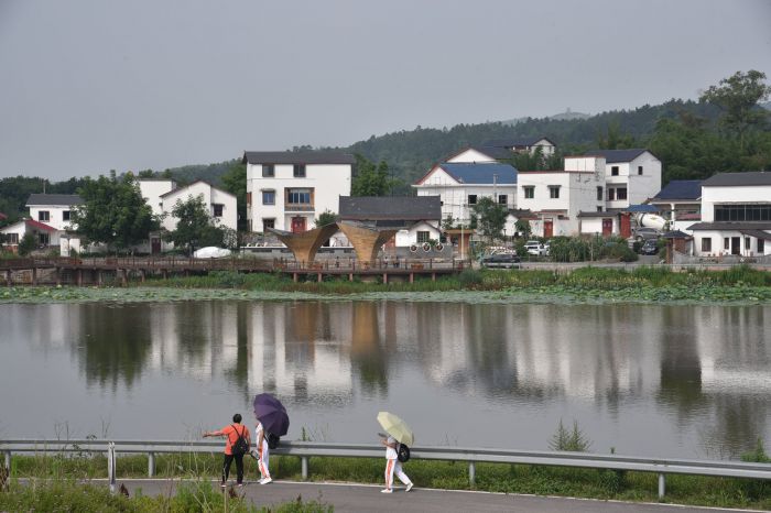 DSC_5474.JPG