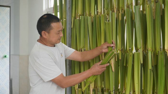 晾挂葵心_副本.jpg