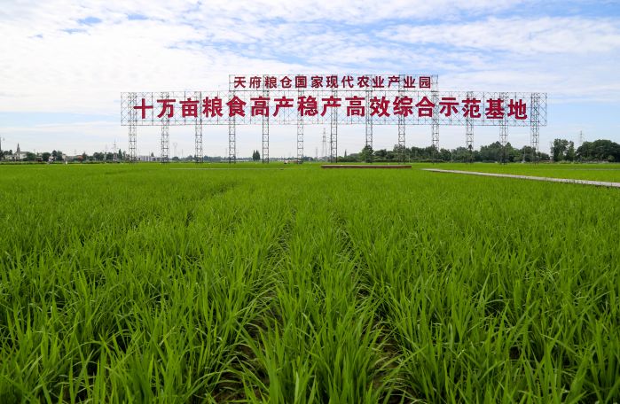 成都农发行6.jpg