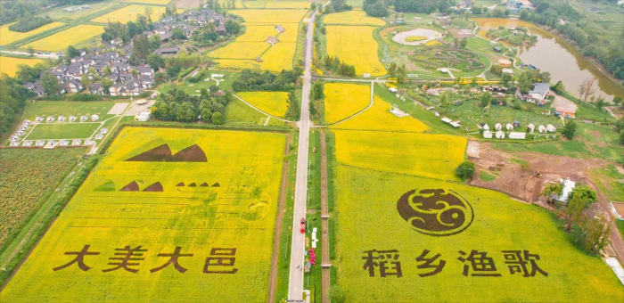 成都农发行08.png