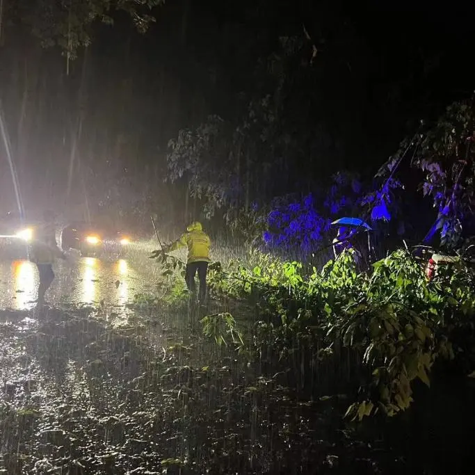沙湾公安交警清理路面障碍