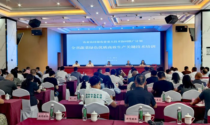 全省蔬菜绿色优质高效生产关键技术培训.jpg