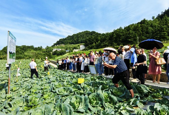 实地观摩.jpg