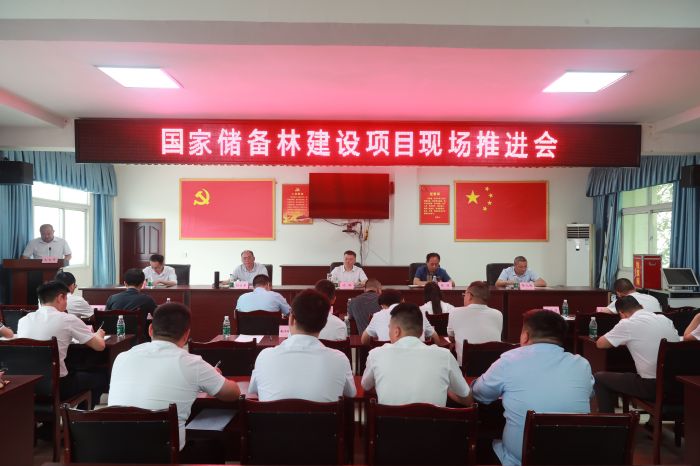 6月28日国储林现场推进会.JPG