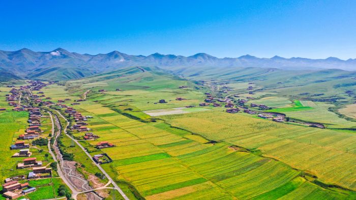 DJI_0033