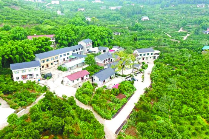 俯瞰橙果百户大院.jpg
