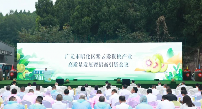 a3a22e21-77cf-4c57-ba47-2ed9657ba510.jpg