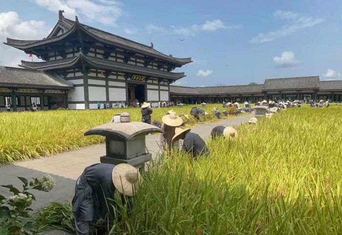 农禅合一