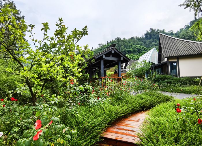 鲍安华摄 (15).jpg