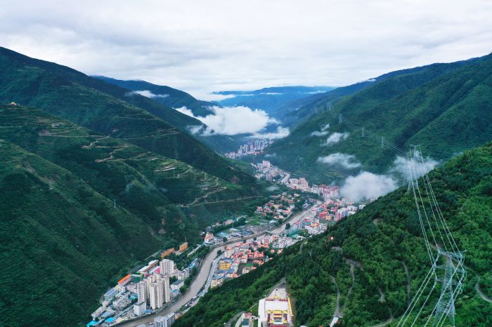 蒋文武全景