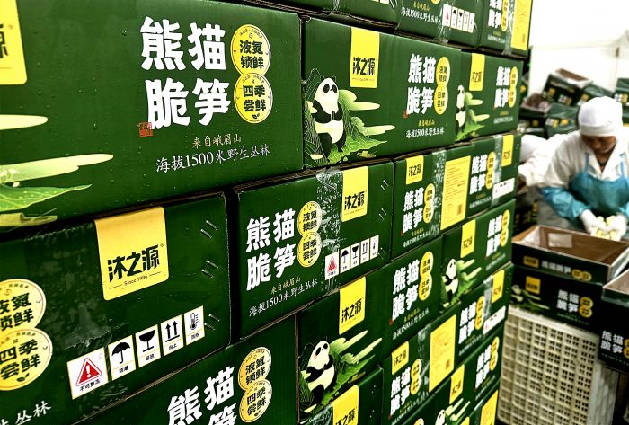 微信图片_20241024165054_副本