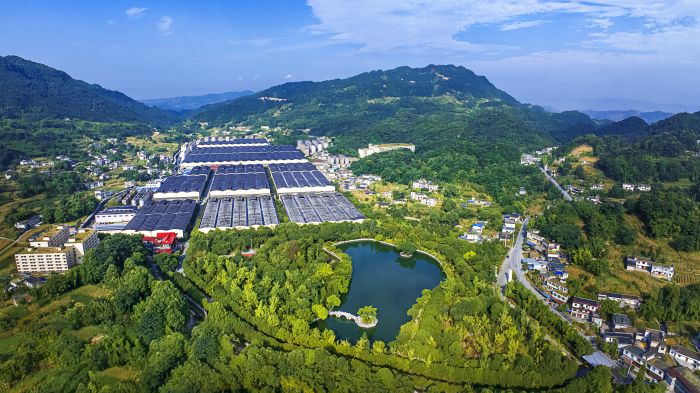 高洲酒业酿造基地