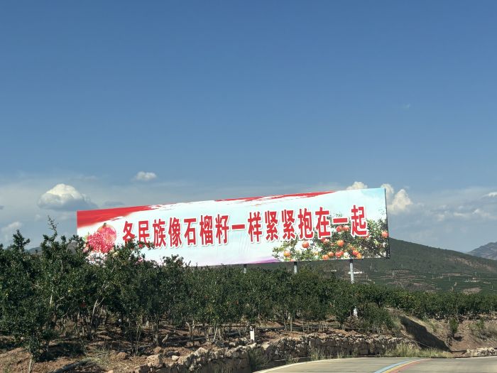 会理石榴基地