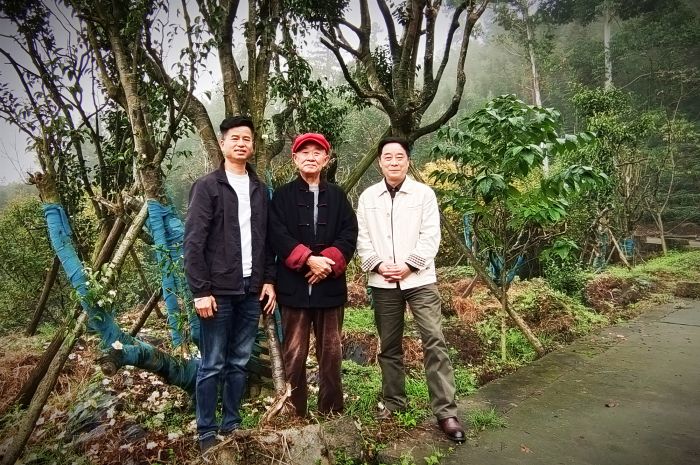 微信图片_20241110103130_副本