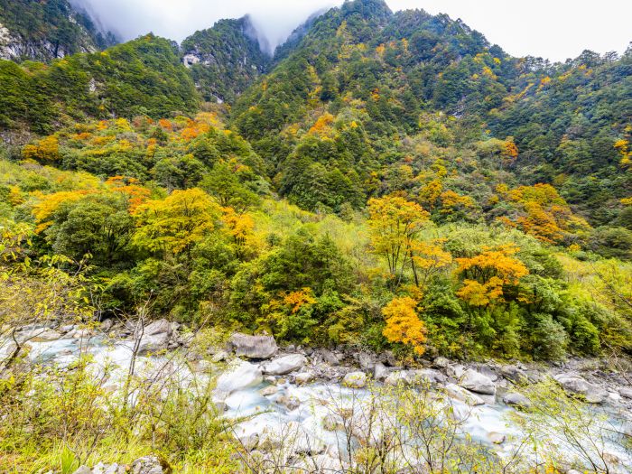 秋醉田湾河 (14)