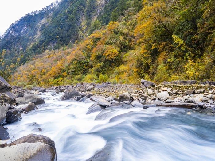 秋醉田湾河 (7)