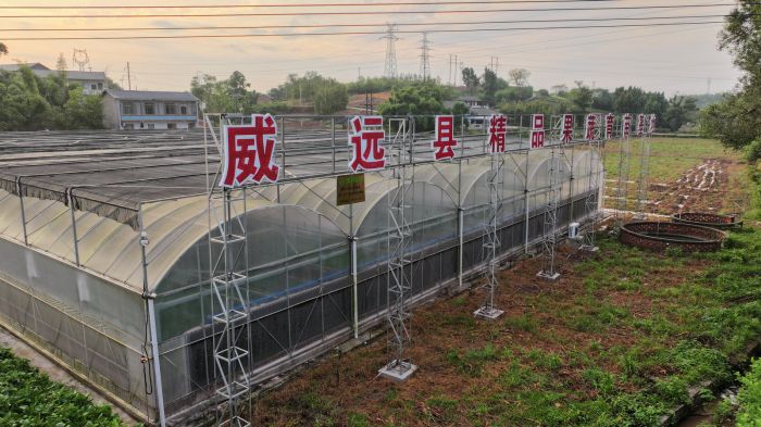 威远县精品果蔬育苗基地_副本.jpg