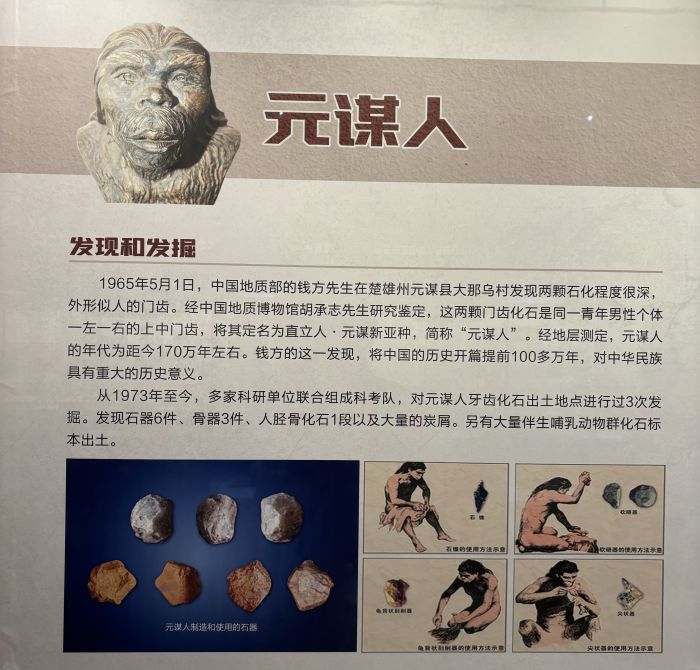 元谋人1