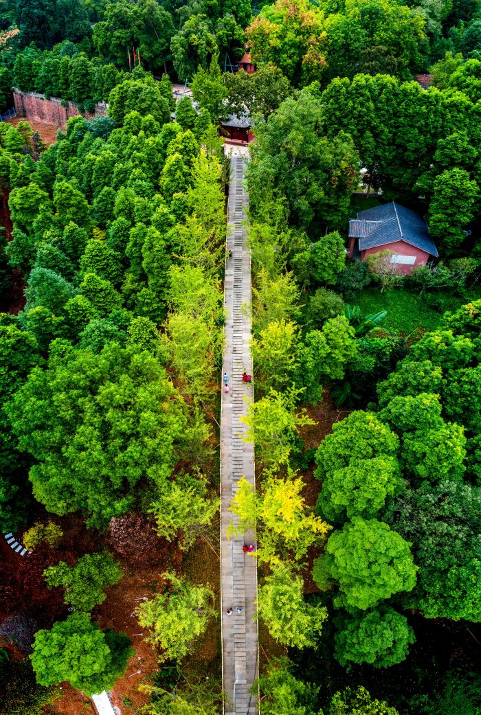 图3  东坡区融媒体中心供图_52压缩看图.jpg