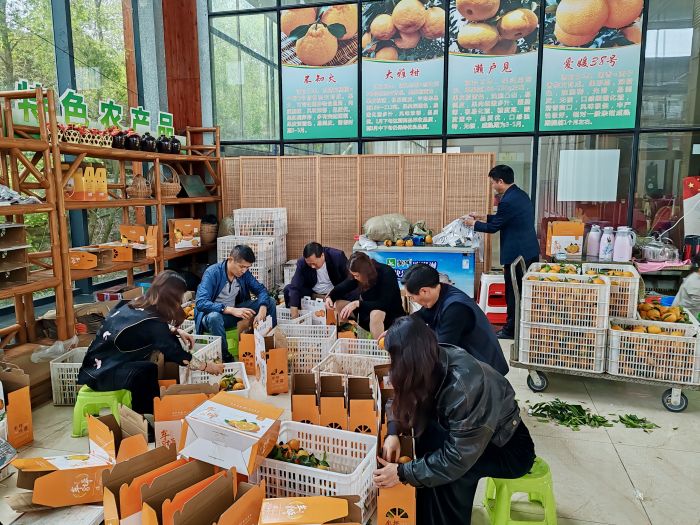 村民们将新鲜柑橘打包装箱