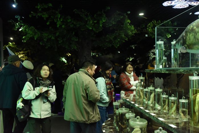 旅行商们参观唐家河自然博物馆.jpg