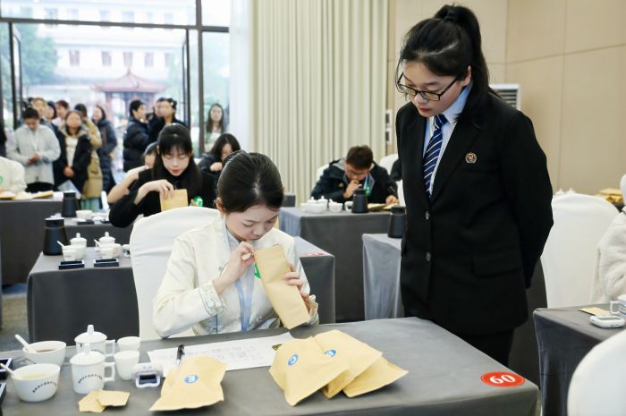 “蒙顶甘露杯”首届全国大学生斗茶大赛在雅安名山开赛(图2)