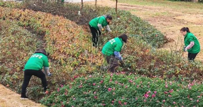 城市中植绿 生活中添景色——德阳发布园泛亚电竞林绿化亮眼“成绩单”(图4)