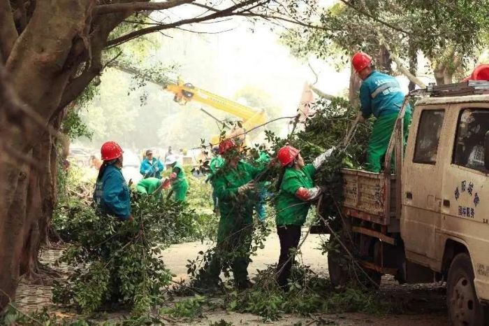 城市中植绿 生活中添景色——德阳发布园泛亚电竞林绿化亮眼“成绩单”(图5)