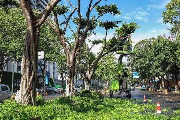 城市中植绿 生活中添景色——德阳发布园泛亚电竞林绿化亮眼“成绩单”(图6)