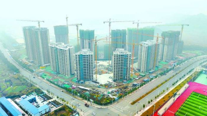 回顾2024丨南充嘉陵：优化营商环境护航企业发展