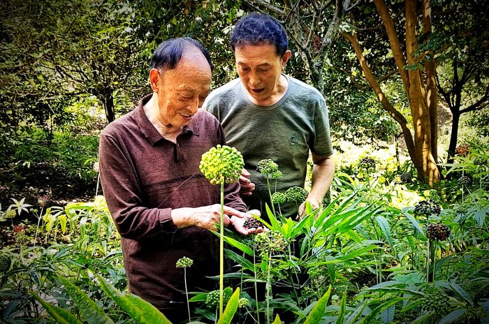 微信图片_20250115155509_副本