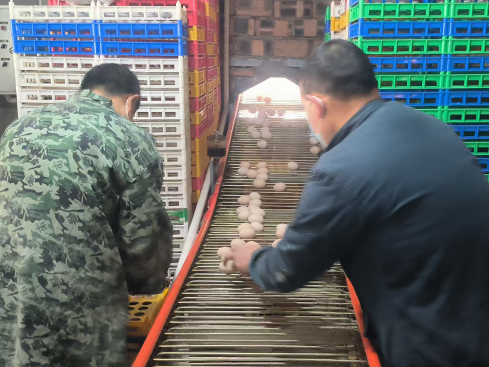 微信图片_20250227193413.png