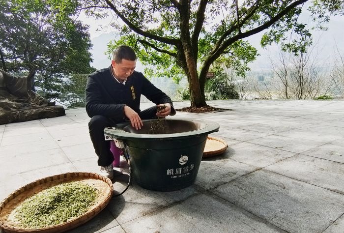 微信图片_20250228214145_副本