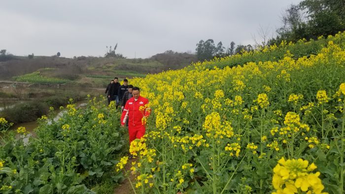 自贡：管护人员行走在春天的大地上.jpg