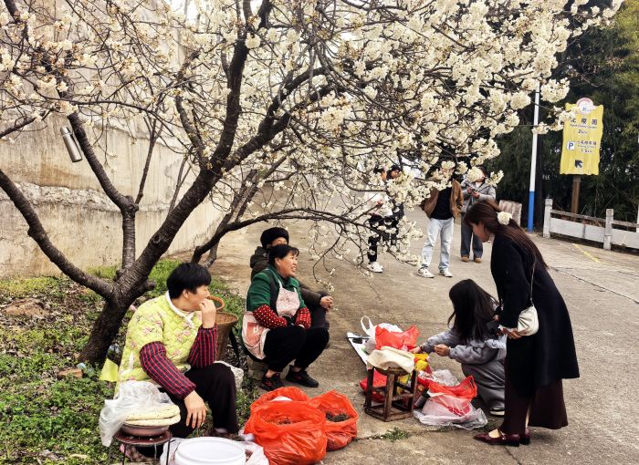 QQ图片20250305120247.jpg