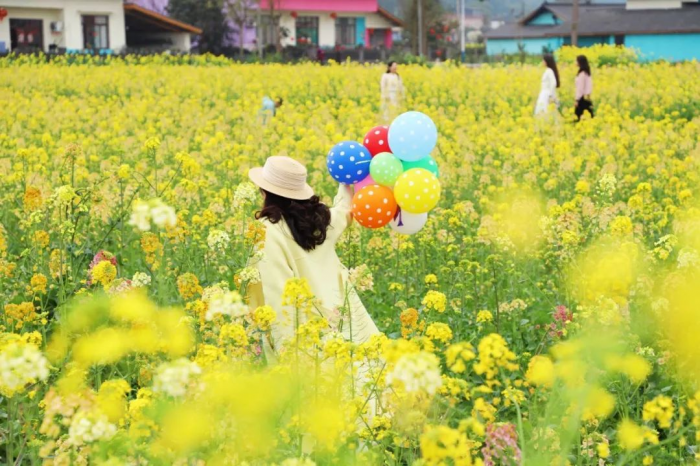 游客在花海中旅游