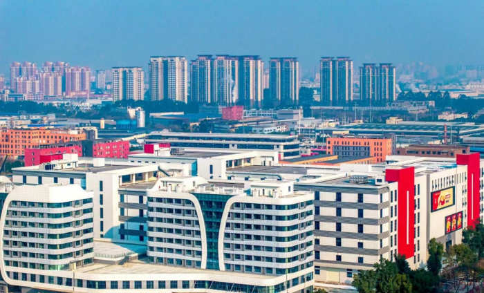 图片3