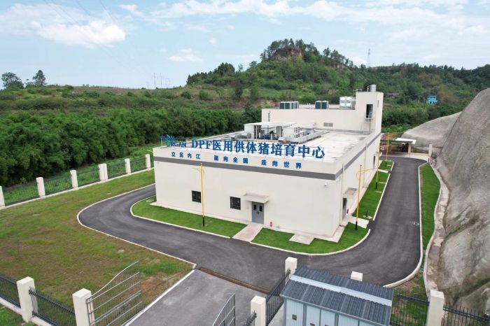 位于内江的中科奥格基因编辑猪繁育中心（受访者供图）.jpg
