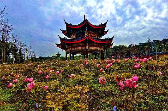 微信图片_20250322093336_副本.jpg