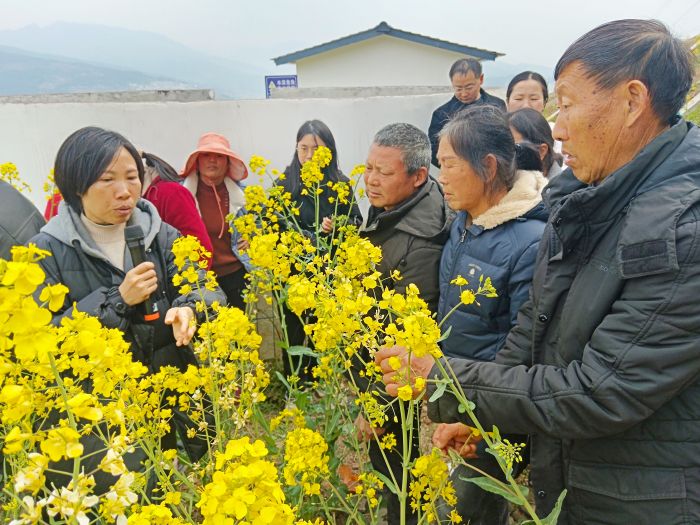农技专家正在给村民讲解油菜病虫害防治知识。郭彬 摄.jpg